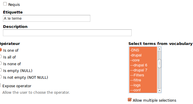 Views 3.8 : configurer un critère de filtre exposé, qui permet de choisir un terme dans une liste